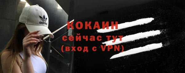 стафф Дмитров