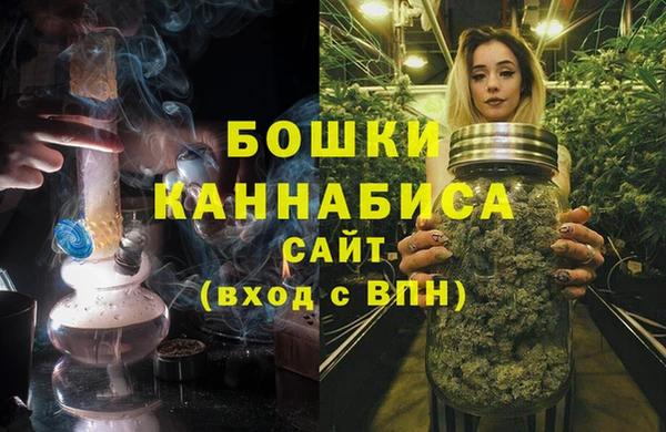 стафф Дмитров